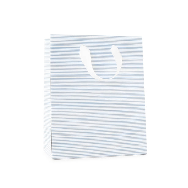 Painted Blue Stripe Gift Bag