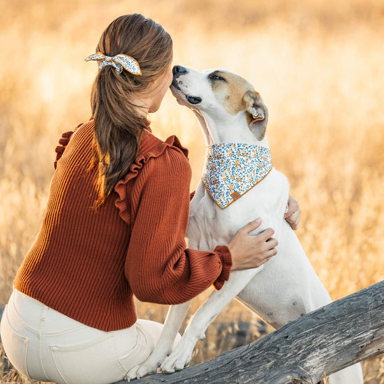 Floral dog bandana clearance