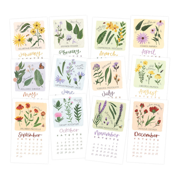 Wildflower Botanicals 2024 Stump Calendar