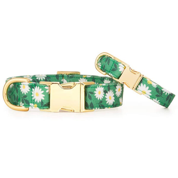 Coming Up Daisies Dog Collar