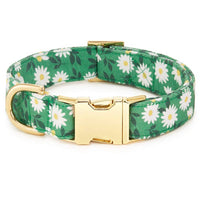 Coming Up Daisies Dog Collar