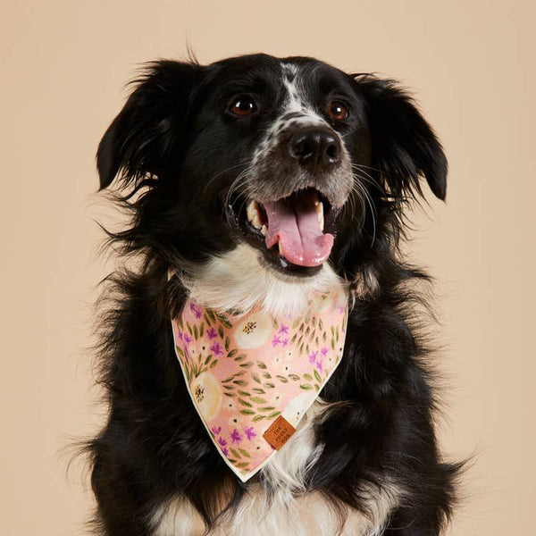 Harper Floral Dog Bandana