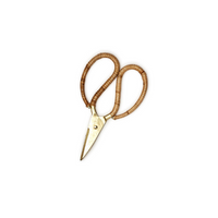 Cane Wrapped Gold Scissors