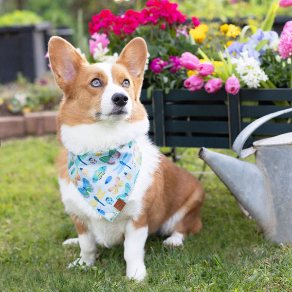 Cute As A Bug Dog Bandana