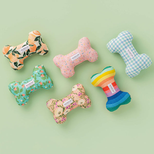 Rainbow Squeaky Dog Toy