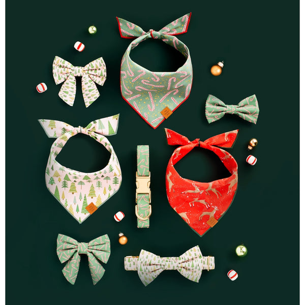 Hooked on You Dog Bandana