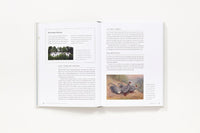 History of Fly-Fishing in Fifty Flies