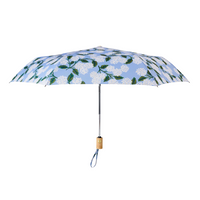 Hydrangea Umbrella