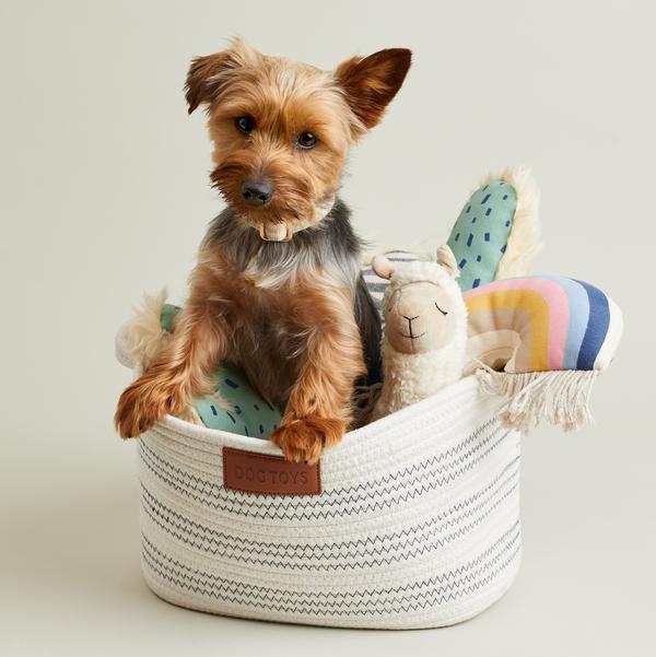 Market Stripe Dog Storage Basket