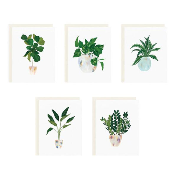 House Plants Series Boxed Stationery - All She Wrote