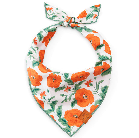 Poppies Dog Bandana