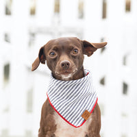 Charcoal Stripe Dog Bandana