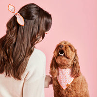 Hugs & Kisses Dog Bandana