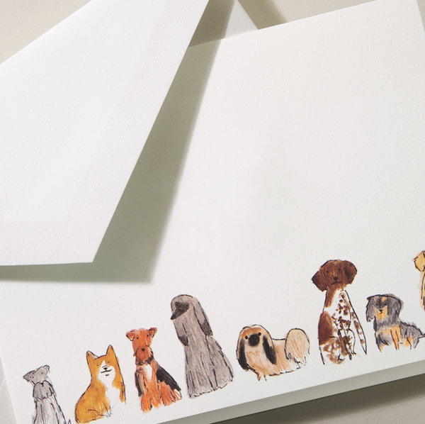 Dogs Boxed Stationery