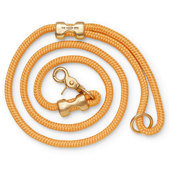 Goldenrod Marine Rope Dog Leash