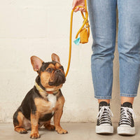 Goldenrod Marine Rope Dog Leash