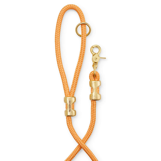 Goldenrod Marine Rope Dog Leash