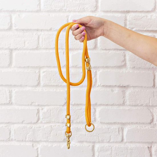 Goldenrod Marine Rope Dog Leash