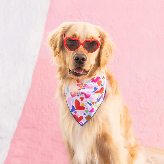 Heart to Heart Dog Bandana