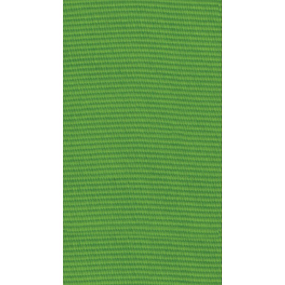 Lime Green Grosgrain Ribbon - All She Wrote