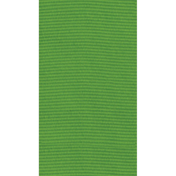 Lime Green Grosgrain Ribbon - All She Wrote