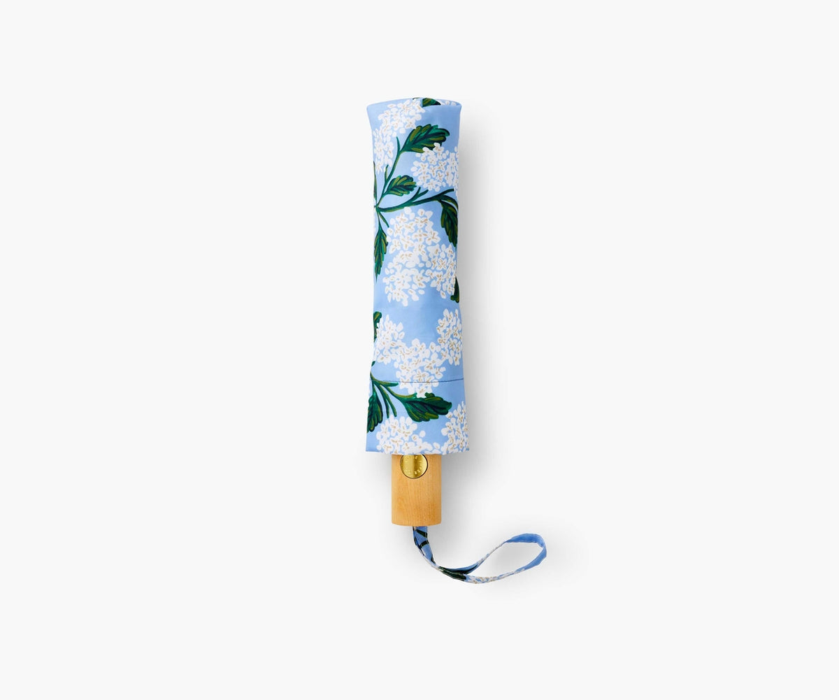 Hydrangea Umbrella